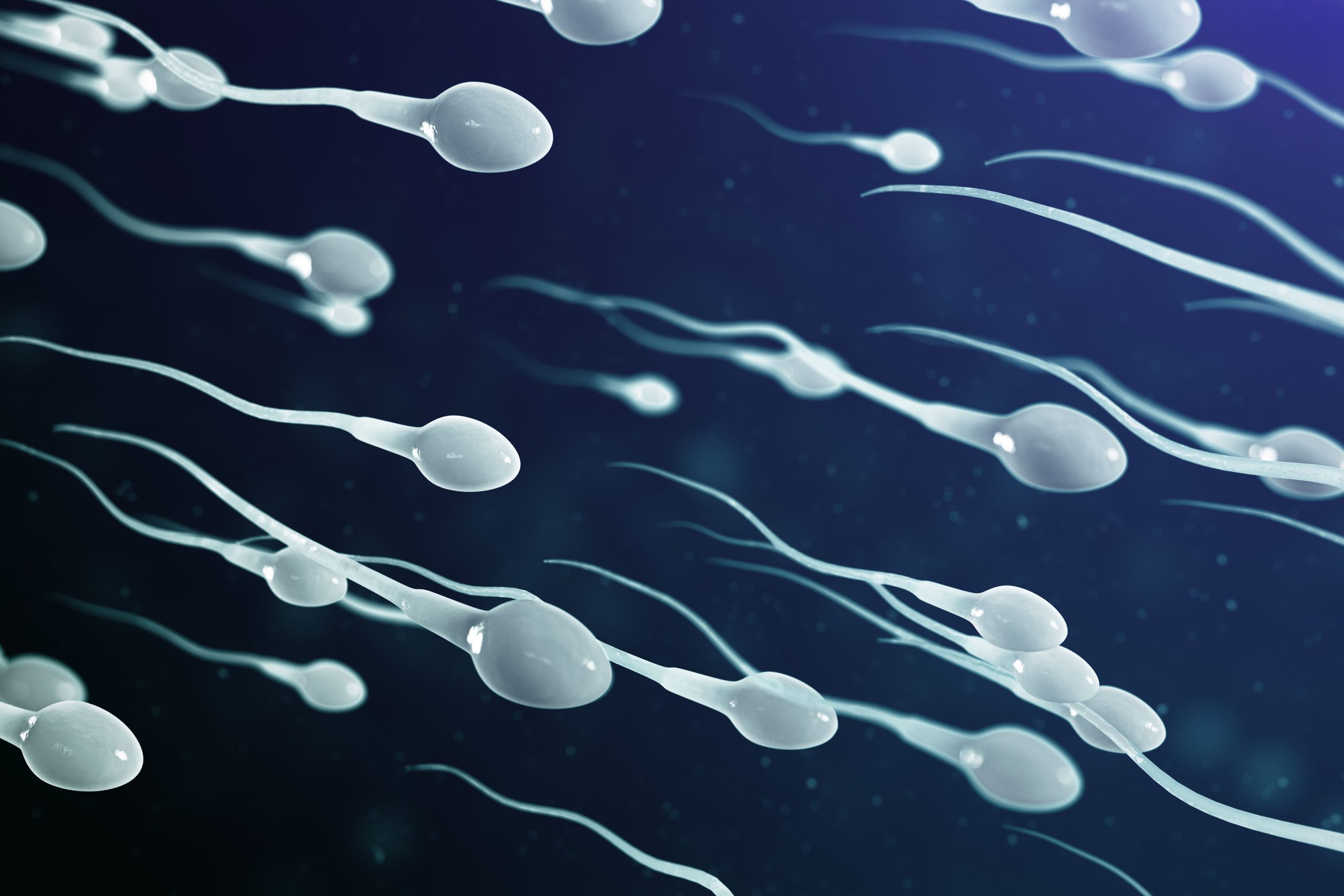 Vasectomia e ejaculação: o que muda?